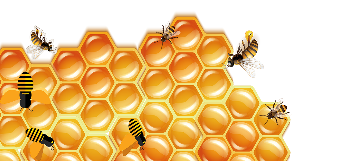 HoneyComb with Bees